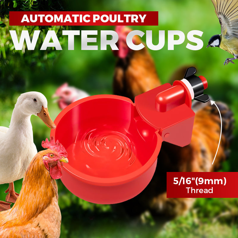 🐔 💧 Automatisk vattenkopp för kyckling – håller vatten rent och fräscht – perfekt för hälsosam uppfödning 🌿