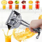 Stainless Steel Juicer（Summer Hot Sale）