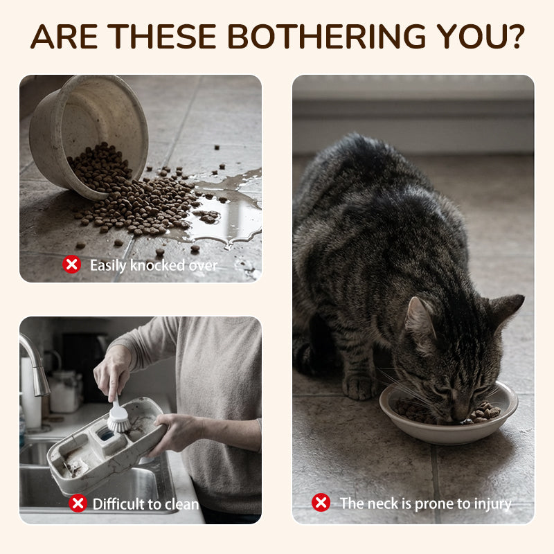 🐱 50 % RABATT NU! 🍽️ Upphöjd hund- och kattmatskål med 3 skålar – halkfri & stabil – ergonomisk design för bättre matsmältning 🐾