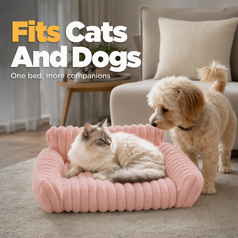 🐾✨ 50% RABATT! 🐱🐶 Mysigt soffdjurssäng – ultra bekväm, upphöjda kanter och supermjuk räfflad plysch.