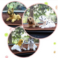🎉 Rea 2026 – Över 12 000 sålda! 🐶 Söt hund-bobblehead – nickar vid varje kurva – 10 raser, mjuk plysch, guldkedja – sprider glädje under varje bilresa 🚗