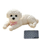 🧸 50% RABATT! 🐶 Krama-nalle – Stressavlastning, mjuk & söt ✨