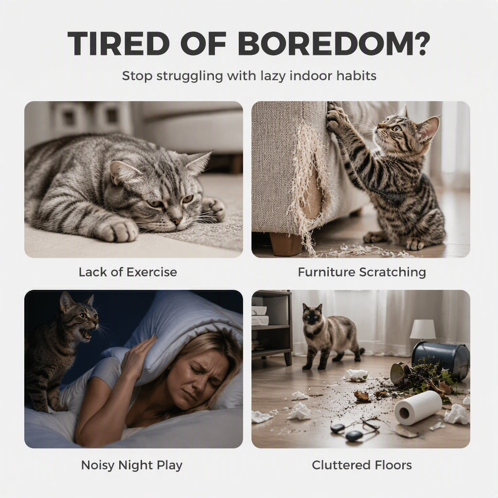 🐱🎢 En åttformad lekbana för katter: Oändlig lek och en lugn natt! ✨