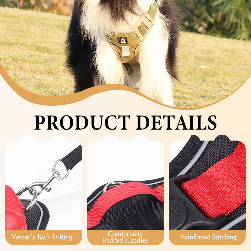 🐕 50% RABATT! 🔦 Dragfri Hundsele med Koppel & LED-halsband – Lindrar Tryck, Mjukt Nylon & Perfekt För Nattliga Promenader Och Träning 🌙