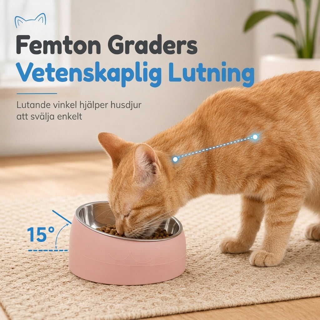 ✨50% RABATT NU! !✨Tecknad kattformad skål i rostfritt stål för husdjur, dubbel mat- och vattenskål för katter och små hundar